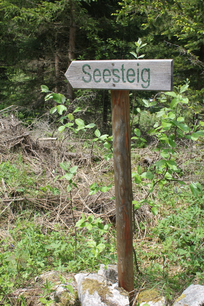 Seesteig Gruner See
