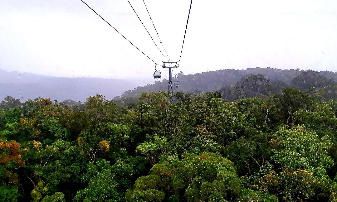 We made it to the top – Cairns